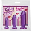 Фото товара: Набор из трех фиолетовых анальных фаллоимитаторов Crystal Jellies Anal Starter Kit, код товара: 0283-22-CD/Арт.30642, номер 1