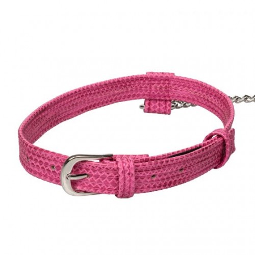 Фото товара: Розовый ошейник с поводком Tickle Me Pink Collar With Leash, код товара: SE-2730-20-2/Арт.163114, номер 1