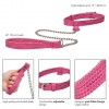 Фото товара: Розовый ошейник с поводком Tickle Me Pink Collar With Leash, код товара: SE-2730-20-2/Арт.163114, номер 2