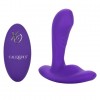 Купить Фиолетовый вибромассажёр простаты Silicone Remote Pinpoint Pleaser код товара: SE-0077-65-3 / Арт.191921. Секс-шоп в СПб - EROTICOASIS | Интим товары для взрослых 