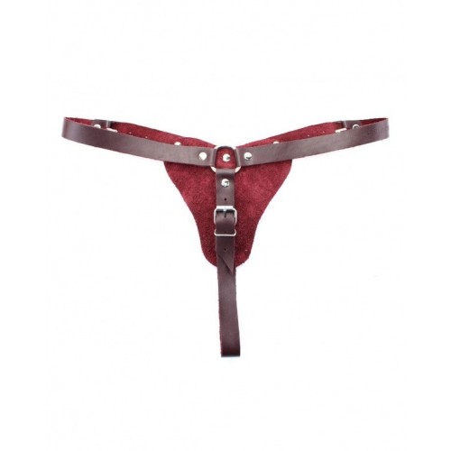 Фото товара: Бордовые трусики с кольцом для насадок Maroon Panties, код товара: 67016ars/Арт.192300, номер 1