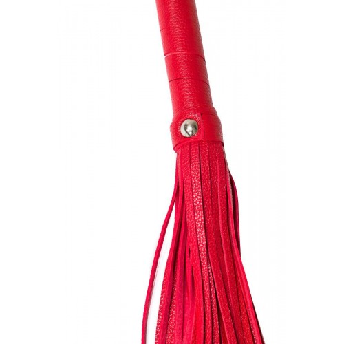 Фото товара: Красная плеть Party Hard Risque - 63,5 см., код товара: 1118-02lola/Арт.220058, номер 1
