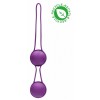 Купить Фиолетовые вагинальные шарики Geisha со шнурком код товара: NAT003PUR/Арт.222270. Секс-шоп в СПб - EROTICOASIS | Интим товары для взрослых 