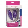 Фото товара: Фиолетовый стимулятор в трусики Lock-N-Play Remote Pulsating Panty Teaser, код товара: SE-0077-55-3/Арт.223425, номер 1