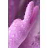 Фото товара: Сиреневый вибратор-кролик Hello Rabbit - 24,5 см., код товара: 6032237 / Арт.223951, номер 12