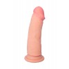 Фото товара: Телесный реалистичный фаллоимитатор RealStick Elite DILDO Tobias - 18 см., код товара: 982039-1/Арт.229646, номер 2