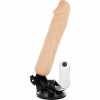 Купить Телесный вибратор на мощной присоске Basecock Realistic Vibrator Remote Control - 20 см. код товара: D-223004 / Арт.244483. Секс-шоп в СПб - EROTICOASIS | Интим товары для взрослых 