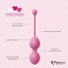 Фото товара: Набор из 3 розовых вагинальных шариков FemmeFit Advanced Pelvic Muscle Training Set, код товара: FLZ-E27895/Арт.247465, номер 3