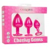Фото товара: Набор из трёх розовых анальных пробок с кристаллом Cheeky Gems, код товара: SE-0441-10-3/Арт.282449, номер 2