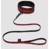 Купить Стильный ошейник с поводком Reversible Faux Leather Collar and Lead код товара: FS-83667/Арт.312693. Онлайн секс-шоп в СПб - EroticOasis 