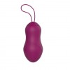 Фото товара: Сливовое вагинальное виброяйцо AN Fruit с пультом ДУ, код товара: AN005/Арт.316911, номер 2