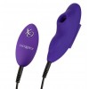 Купить Фиолетовый стимулятор в трусики Remote Suction Panty Teaser код товара: SE-0077-57-3/Арт.359581. Секс-шоп в СПб - EROTICOASIS | Интим товары для взрослых 