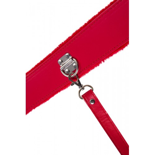 Фото товара: Красный ошейник с металлической фурнитурой, код товара: 886105/Арт.360173, номер 4