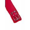 Фото товара: Красный ошейник с металлической фурнитурой, код товара: 886105/Арт.360173, номер 5