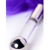 Фото товара: Кисточка для щекотания с фиолетовыми пёрышками - 13 см., код товара: RR1/фиолет/Арт.383643, номер 1