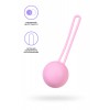 Фото товара: Розовый вагинальный шарик Pansy, код товара: 210301/Арт.417153, номер 1