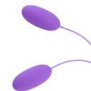 Фото товара: Фиолетовые гладкие виброяйца, работающие от USB, код товара: 9857302/Арт.418079, номер 1