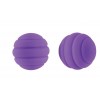 Купить Фиолетовые стальные вагинальные шарики с силиконовым покрытием код товара: NSN-0655-15/Арт.116575. Секс-шоп в СПб - EROTICOASIS | Интим товары для взрослых 