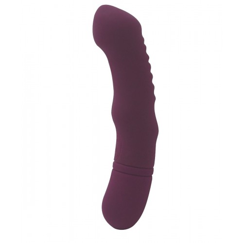 Купить Фиолетовый перезаряжаемый G-вибратор Anfa - 18 см. код товара: 05505/Арт.125727. Онлайн секс-шоп в СПб - EroticOasis 